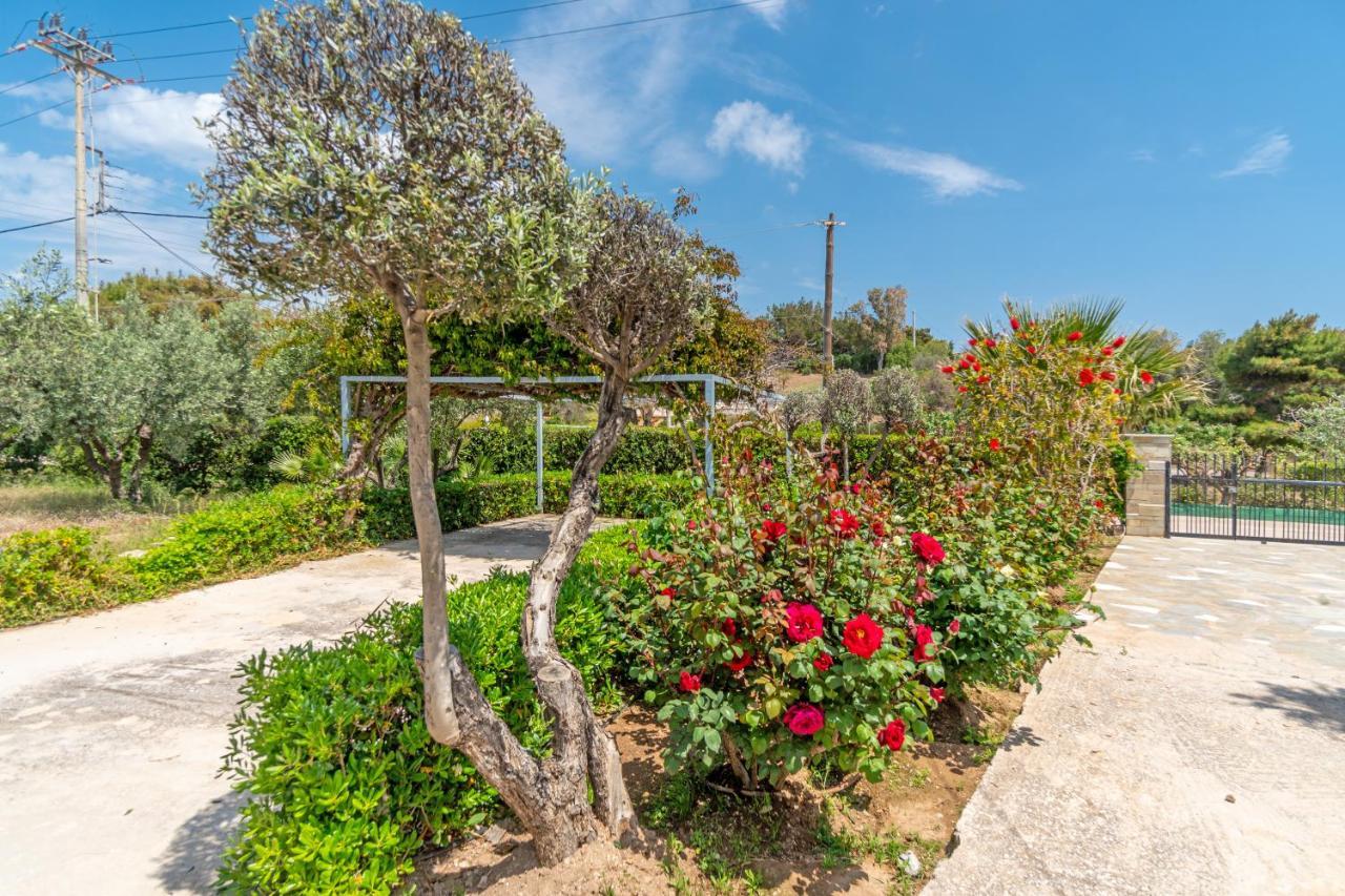 Legrena Beach House Sounion Exterior photo